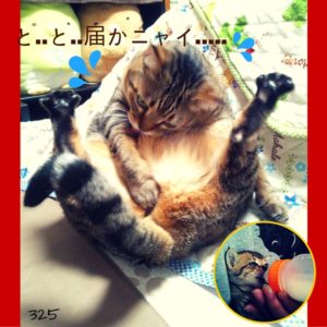 myu can't reach by Mitsuko at studioshey325.com